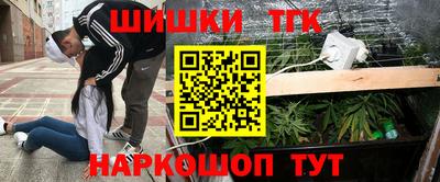 a pvp Гатчина